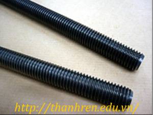 Thanh ren M12